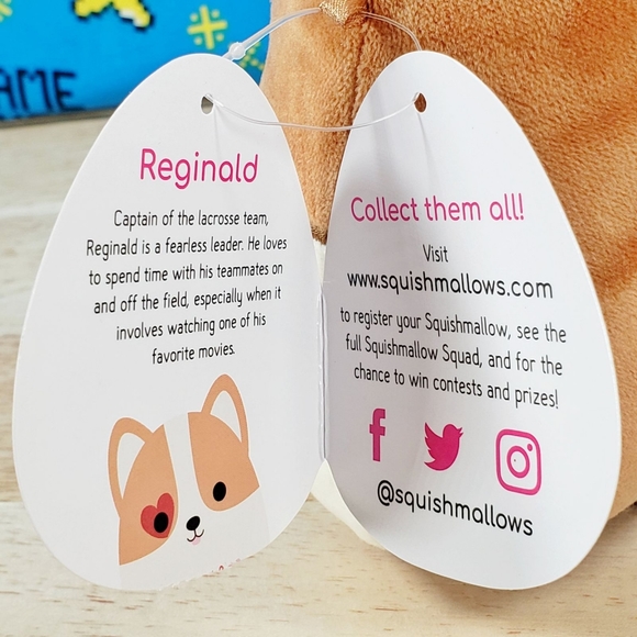 Squishmallow Reginald the Corgi Dog 5" UltraSoft Valentine's Day Plush Toy NWT - Picture 11 of 12